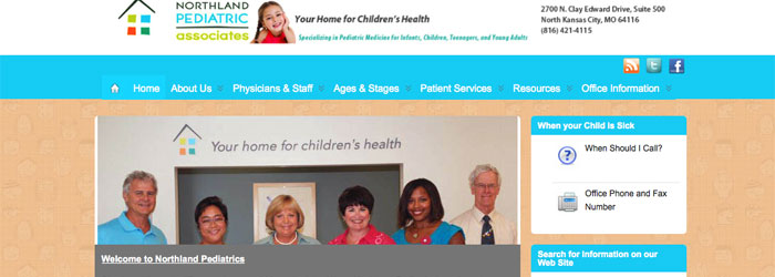 Website Design Options by Kansas City North steve's computer and website Design